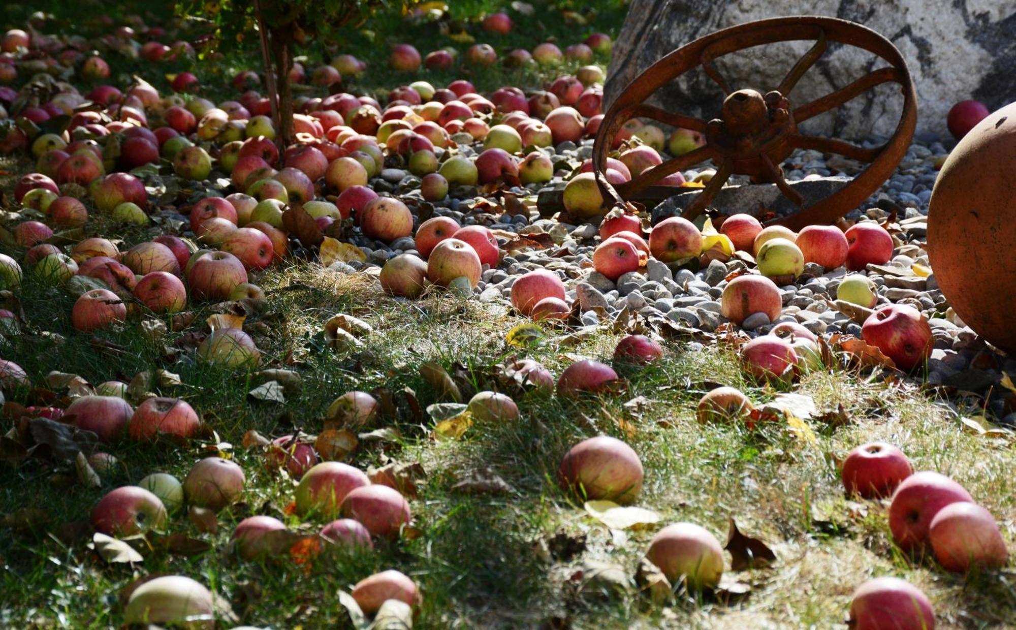 Appartamento Landhof Lydia Roggendorf Esterno foto